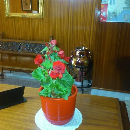 Otel Royal 2*